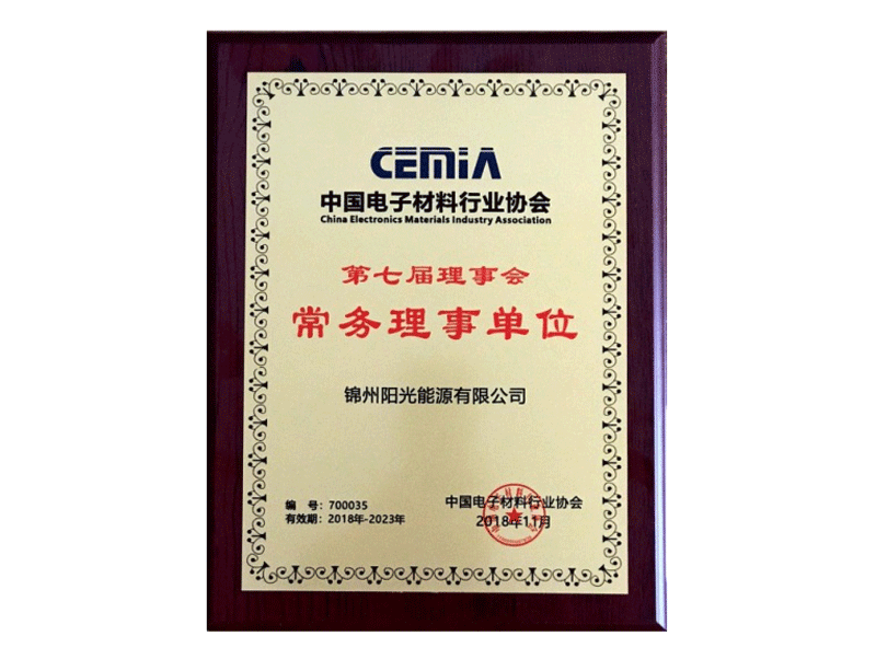 中国电子资料行业协会常务理事单元