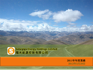 2011年年度业绩