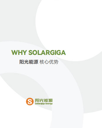 贝斯特主题优势
